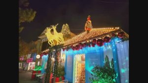 Геленджик новогодний