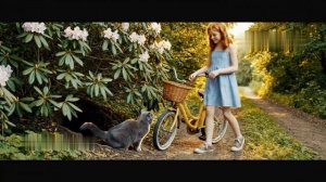 На велосипеде по лесу