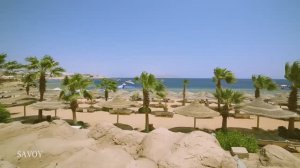 Savoy Sharm El Sheikh 5*