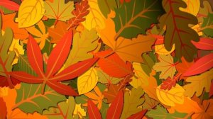 Важные перемены 20 ноября. Предупреждение для всех.