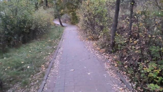 Белгород, прогулка в посёлке дубовое. Парк «Под Дубом»