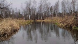 ПОЕХАЛ НА РЕКУ ЗА ЗОЛОТЫМИ САМОРОДКАМИ