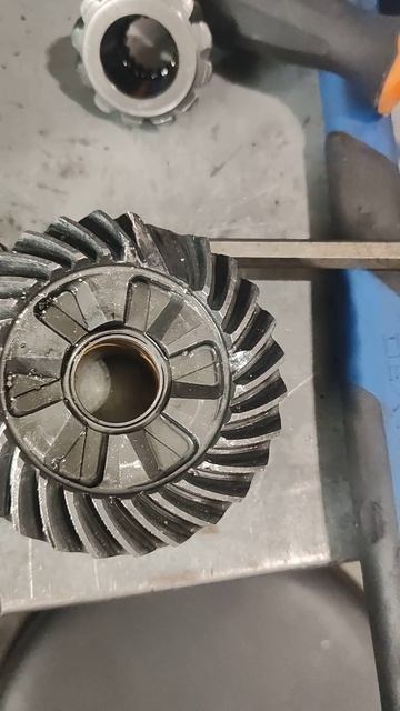 ХАЙДИК ЗАБОЛЕЛ((( #ruboats #orionboat #lordriver