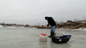 19.11.2025г. Ловля живца на хапугу.