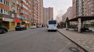 шевелева трафик