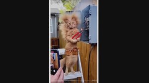 Безумные ИИ приколы с животными! Ч. 4 Приколы 2025