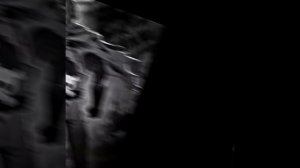 эдит по Сайтаме