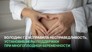Володин: ГД исправила несправедливость, установив меры поддержки при многоплодной беременности