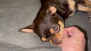 Всем самой доброй ночи и самых добрых снов.