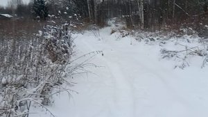 завалило Снегом нас - пришла Зима