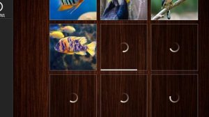 Jigsaw Puzzle Epic 216 Серия Игра 2025