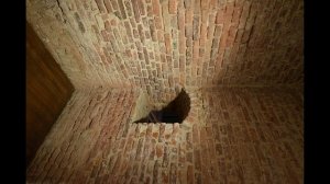 Зимний дворец Петра  11 октября 2016