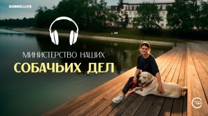 «Министерство наших собачьих дел»: московские волонтеры создали подкаст о собаках-помощниках