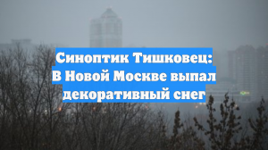 Синоптик Тишковец: В Новой Москве выпал декоративный снег