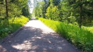 Грешница.На даче.Водораздел Красноярск