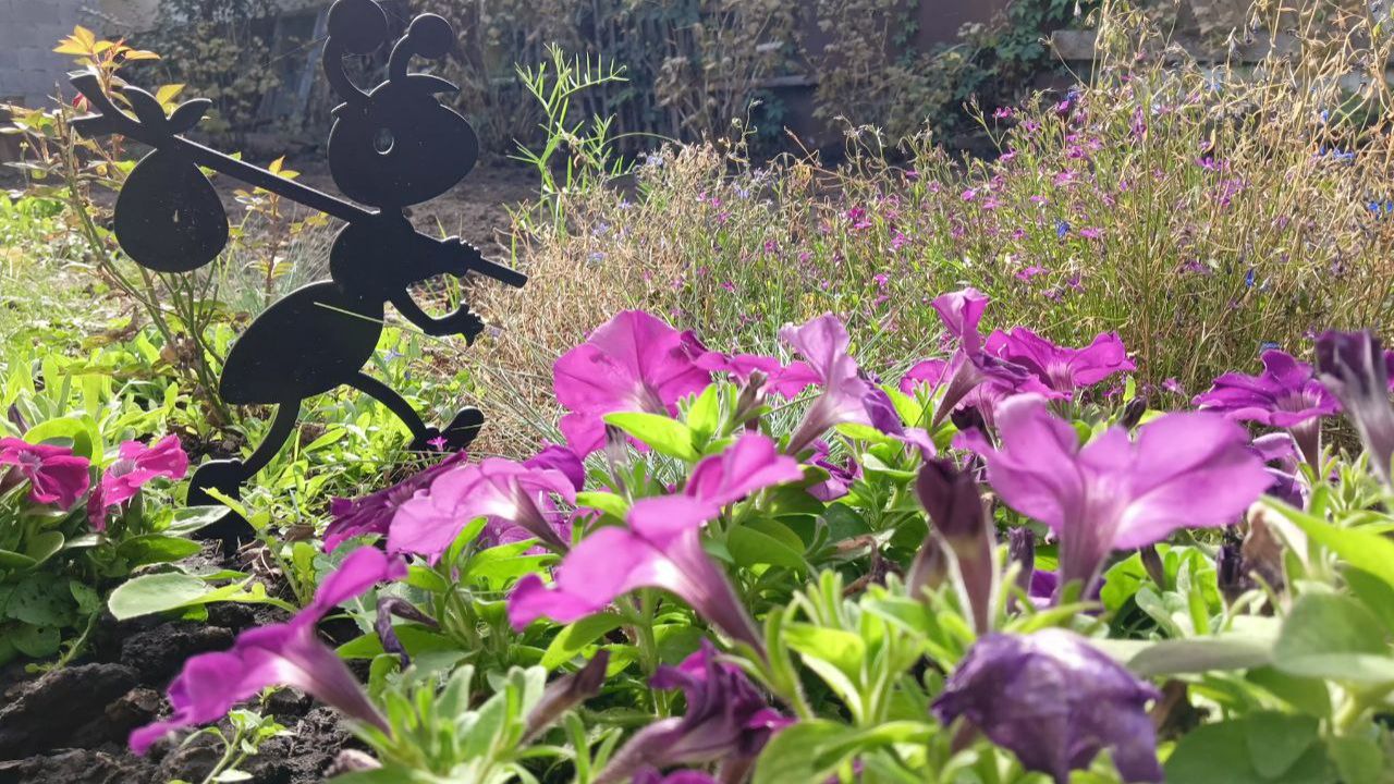 На даче первые посадки