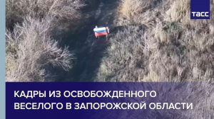 Кадры из освобожденного Веселого в Запорожской области
