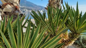 ЯЛТА, ШТОРМ НЕУЖЕЛИ ЭТО КОНЕЦ