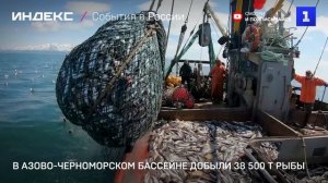 В Азово-Черноморском бассейне добыли 38 500 т рыбы