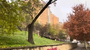 ОДЕССА 20 НОЯБРЯ 2025. НОВЫЙ УСТАВ! ДЕПУТАТЫ ГОЛОСУЮТ НЕ ЗНАЯ СЛОВ НОВОГО ГИМНА! ДВОЙНИКИ ПУТИНА