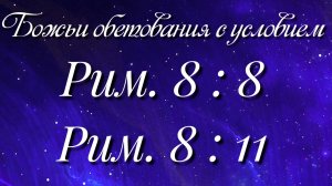 Божьи обетования (31)