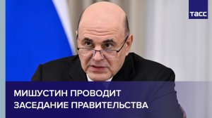 Мишустин проводит заседание правительства