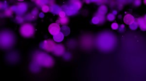 Вечернее Богослужение 20.11.2025