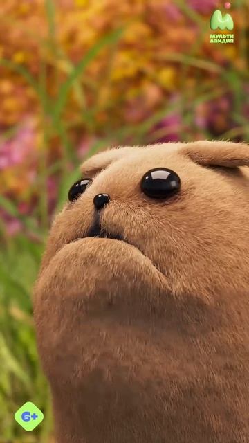 What sound does a duck make смотреть онлайн