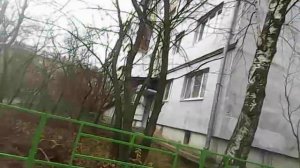 Улица Маяковского дом 27 Дзержинск