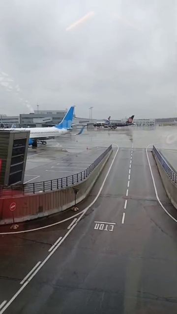 Перелёт Юрия в Сургут 12.11.25.