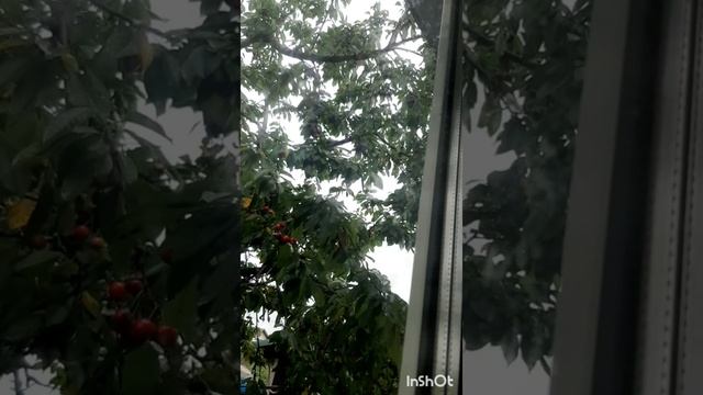 Дом и двор.Сборник интересных моментов на эту тему.Фильм5.Серия2.mp4