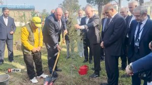 Дагестан и Иран посадили Дерево мира и дружбы