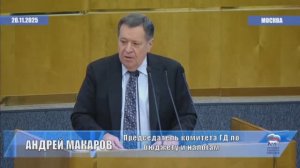 Госдума приняла бюджеты внебюджетных фондов на 2026-2028 годы, 20 ноября 2025 года