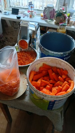 тру маркву!!!