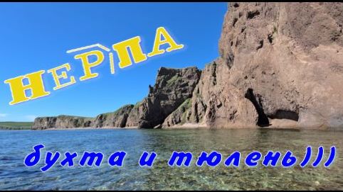 Бухта Нерпа