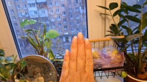 С Гасом целый день. На зубки. Маникюр. Украшение