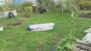 Сняли чехол с теплицы.