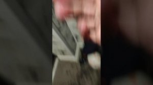 нет названия