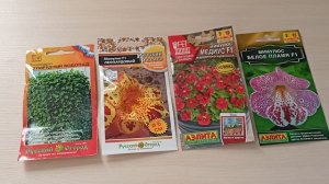 Лучшие растения для выращивания в саду и дома в кашпо.20.11.2025