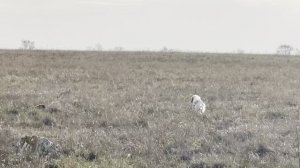 Федора. 20.11.25.