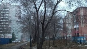 Дорога на работу и неожиданный туман