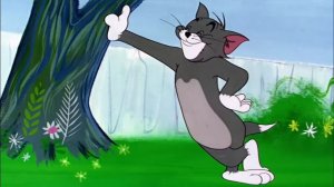 Кошки мышки для детей