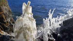 Хрустальная гармония Телецкого озера