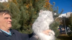 Уиллис Эль Мон Ами из питомника Мирада Дель Мар.