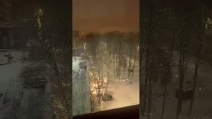 Доброе утро Санкт-Петербург