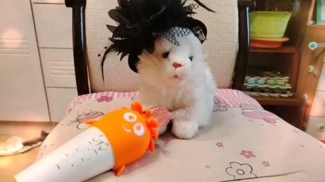 Кошачий концерт смотреть онлайн