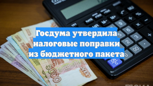 Госдума утвердила налоговые поправки из бюджетного пакета