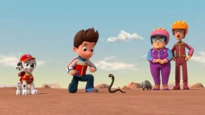 Щенячий патруль: Хэллоуинские спасательные миссии! ️ 120 минут! | Nick Jr. Cyrillic