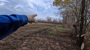 КОП МЕТАЛЛА 20 11 2025