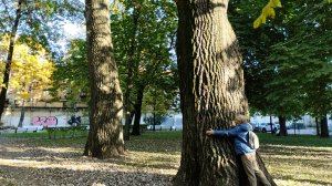 Итальянский сад